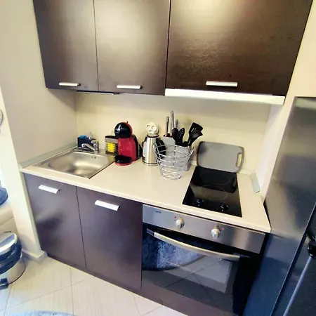 公寓 Spacious Luxury With Mountain View - Available 班斯科